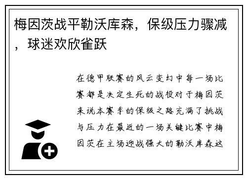 梅因茨战平勒沃库森，保级压力骤减，球迷欢欣雀跃